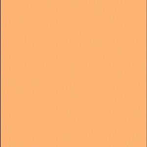 Meet your Posher, Jayla